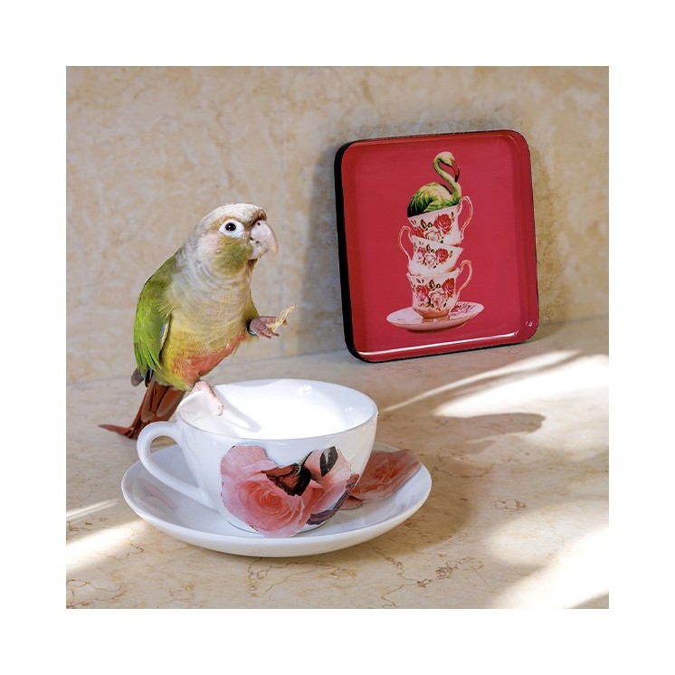 VIDE POCHE FLAMINGTEA - GANGZAÏ