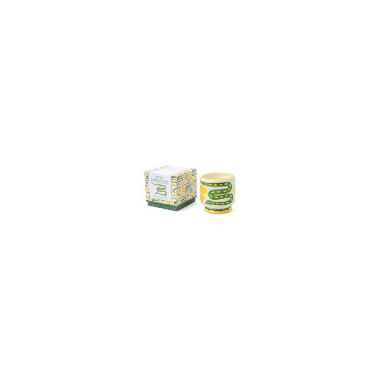 BOUGIE ADOPO SERPENT - PADDYWAX