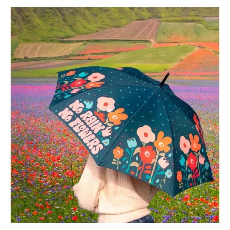 PARAPLUIE NO RAIN NO FLOWERS - FISURA