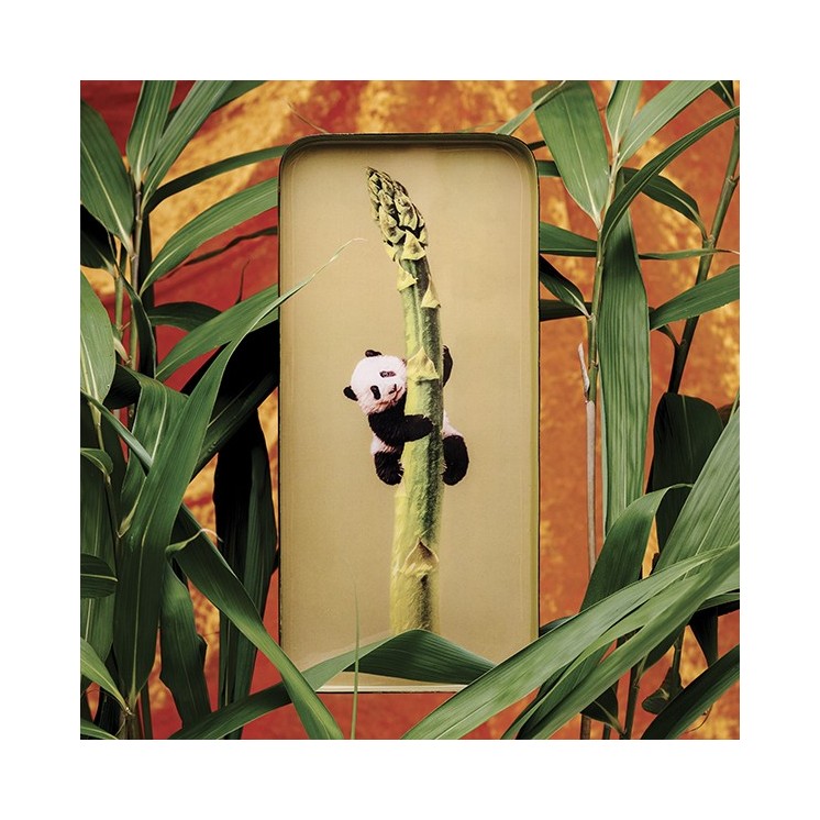 VIDE POCHE SACHA - GANGZAÏ