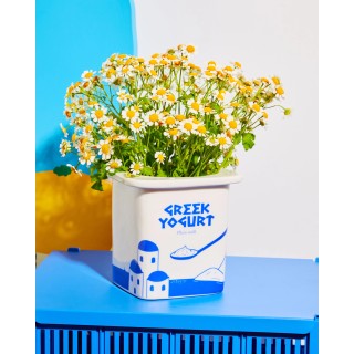 VASE YOGHURT GREEK - FLUID MARKET