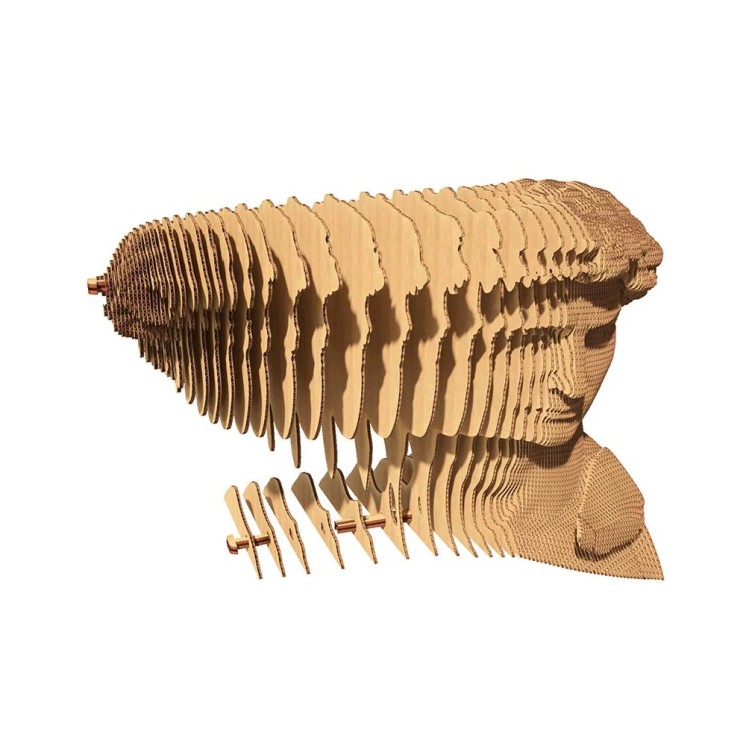 PUZZLE DAVID - CARTONIC
