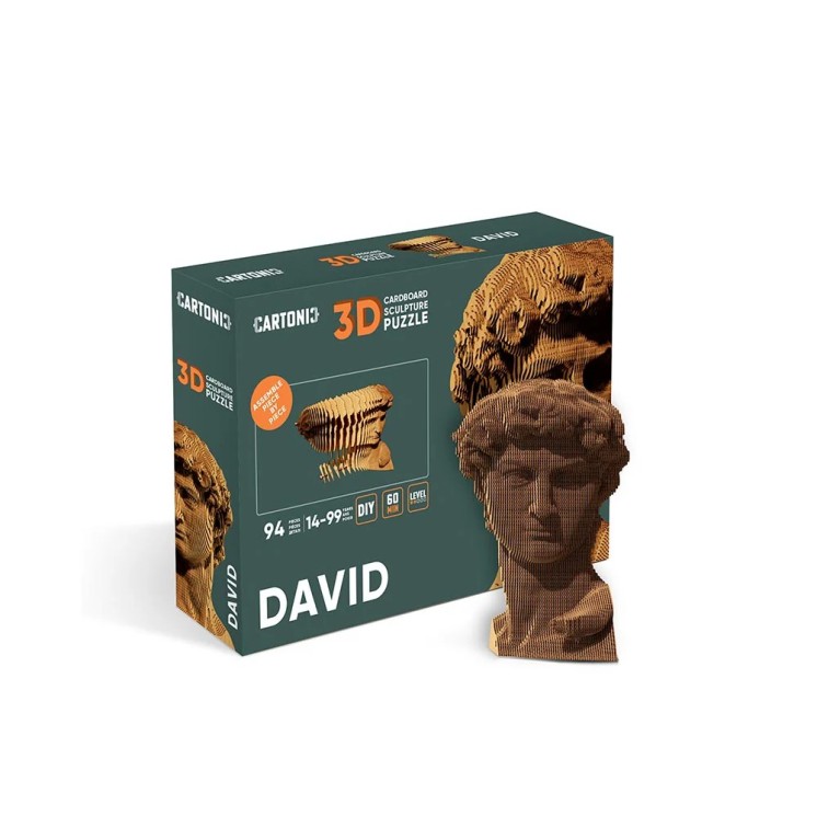 PUZZLE DAVID - CARTONIC