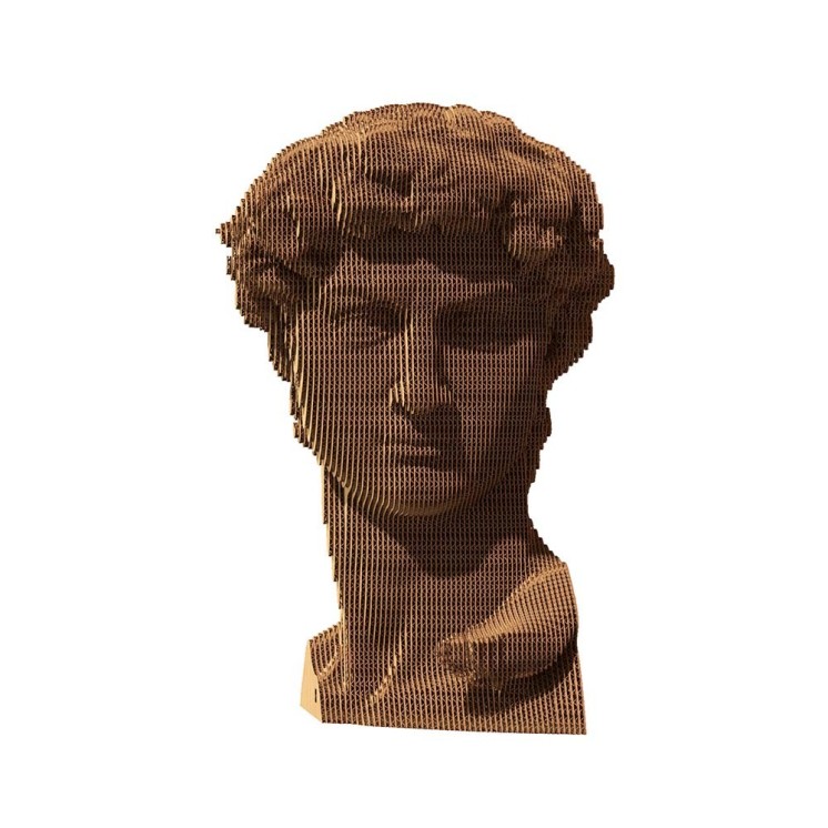 PUZZLE DAVID - CARTONIC
