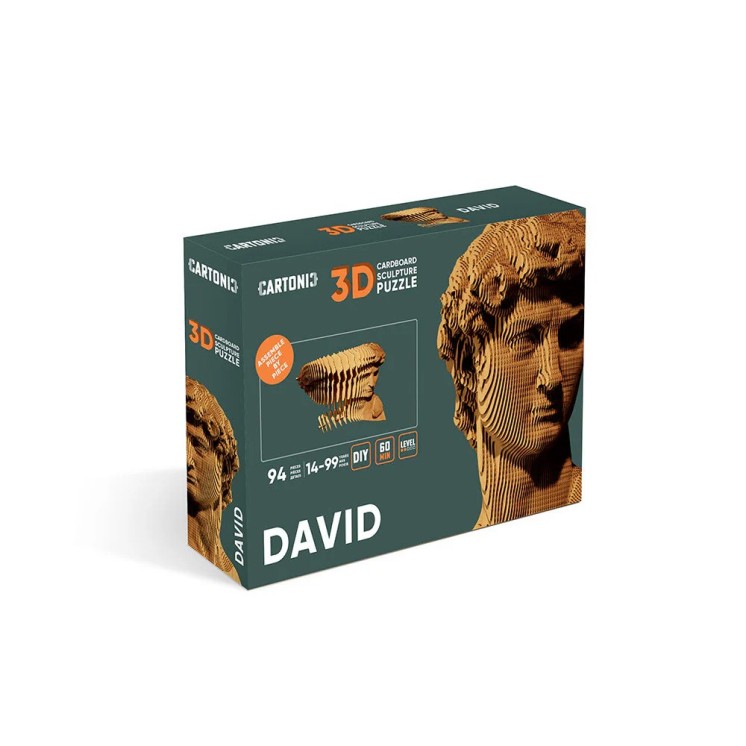 PUZZLE DAVID - CARTONIC