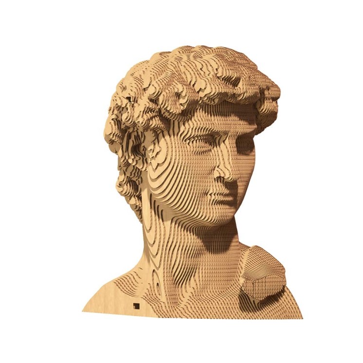 PUZZLE DAVID - CARTONIC