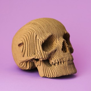 PUZZLE SKULL - CARTONIC