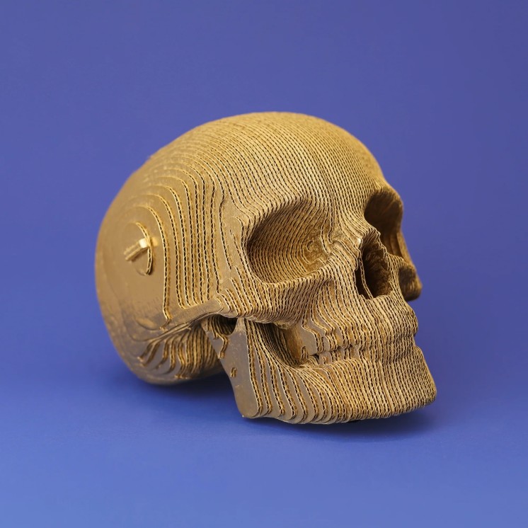 PUZZLE SKULL - CARTONIC
