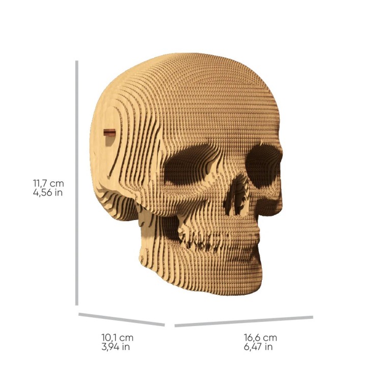 PUZZLE SKULL - CARTONIC