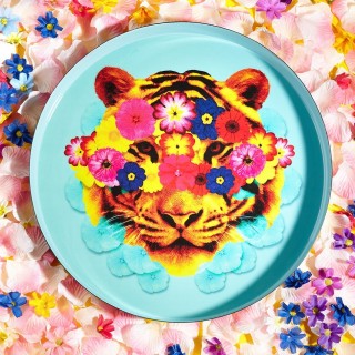PLATEAU ROND MASKTIGER - GANGZAÏ
