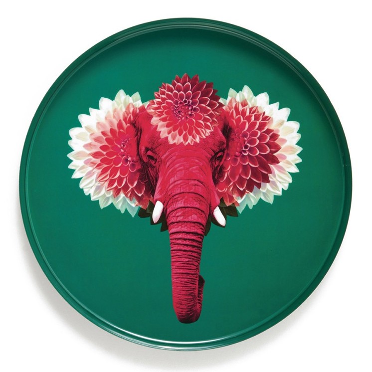 PLATEAU ROND PACHIII - GANGZAÏ