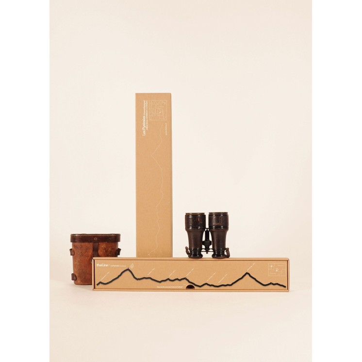 PYRENEES DEPUIS TARBES